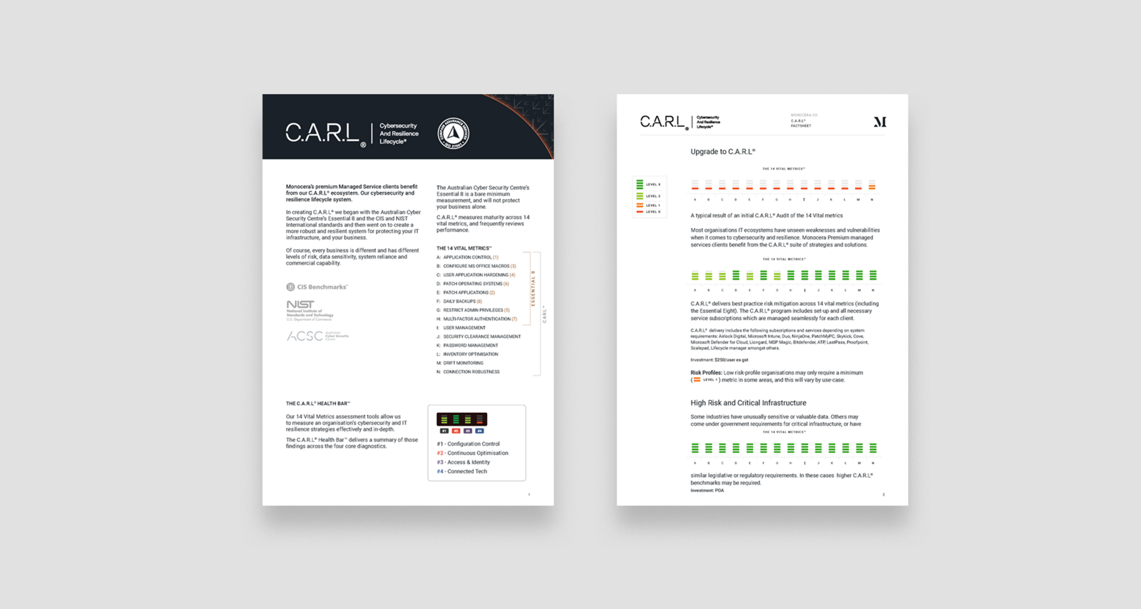 CARL | Untold
